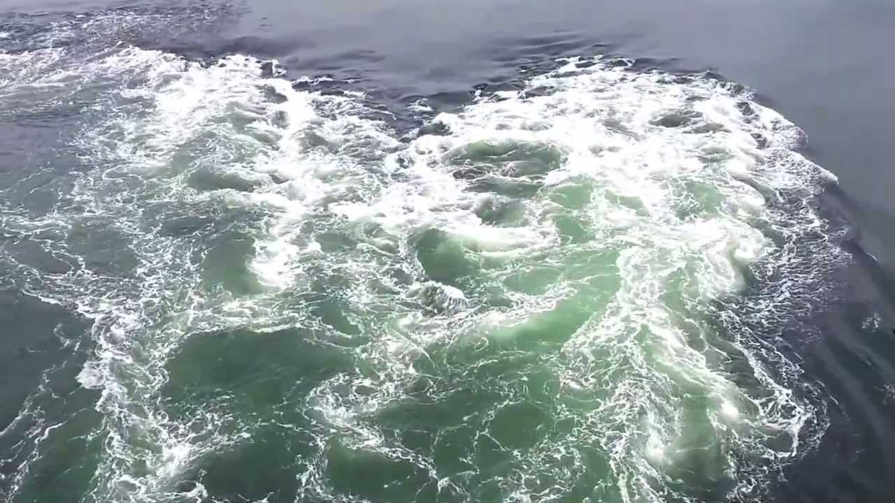 Zoet- en zoutwater confrontatie - YouTube - Is Het Veerse Meer Zoet Of Zout Water