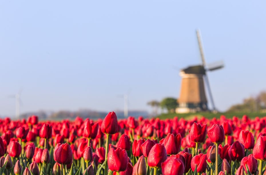 Zomervakantie Zuid Holland 2025 - Keri Selena - Wanneer Begint De Zomervakantie Zuid Holland
