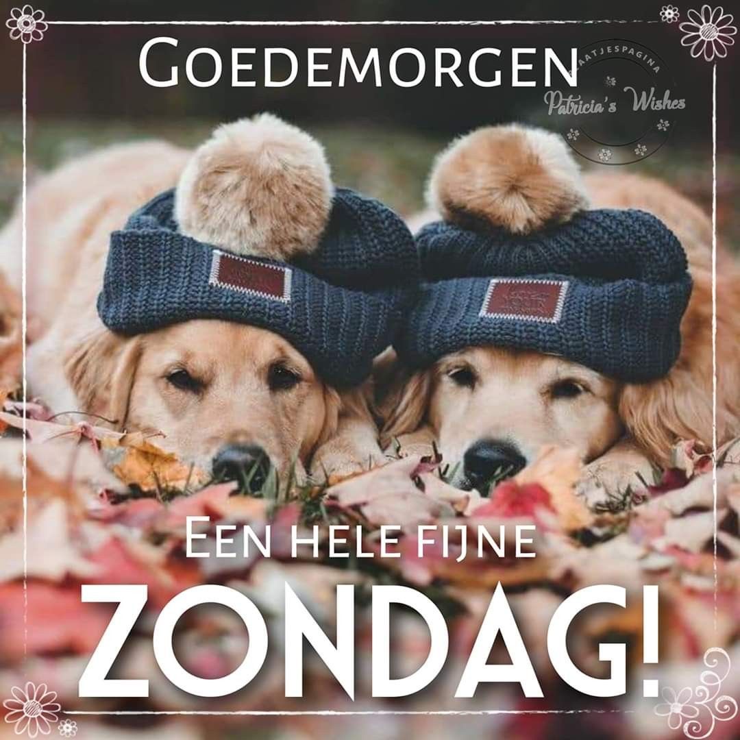 Zondagmorgen en koud | Goedemorgen, Te grappig, Fijne zondag - Wordt Het Een Koude Winter