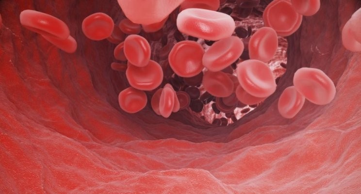 Zuurstof in het bloed | COPD Meten & Weten | COPDoplossingen.nl - Hoeveel Zuurstof Moet Je In Je Bloed Hebben